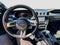 2019 Ford Mustang BULLITT