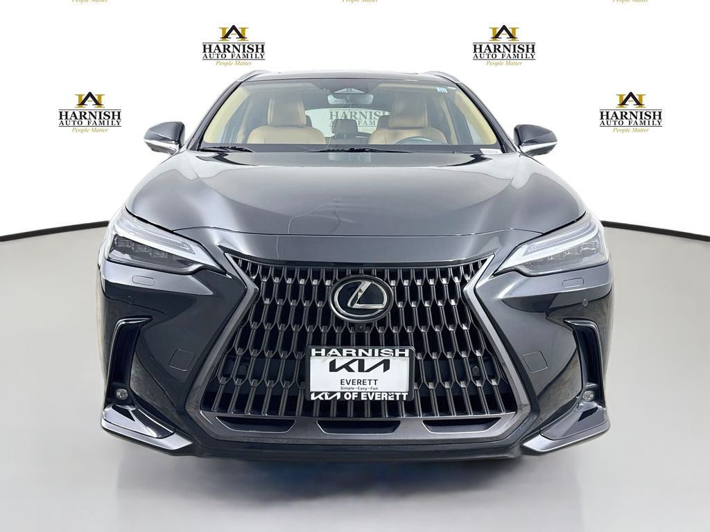 2024 Lexus NX 350h Luxury