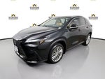 2024 Lexus NX 350h Luxury