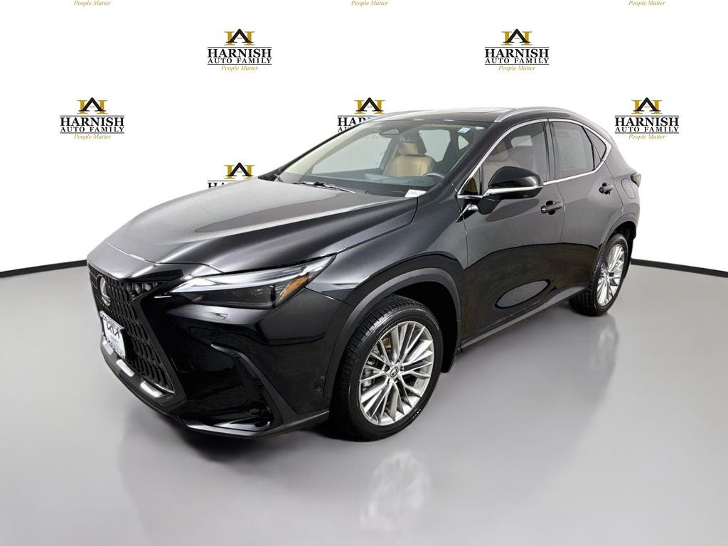 2024 Lexus NX 350h Luxury