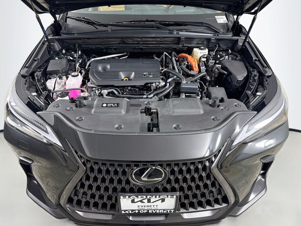 2024 Lexus NX 350h Luxury