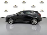 2024 Lexus NX 350h Luxury