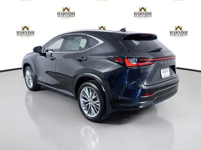 2024 Lexus NX 350h Luxury
