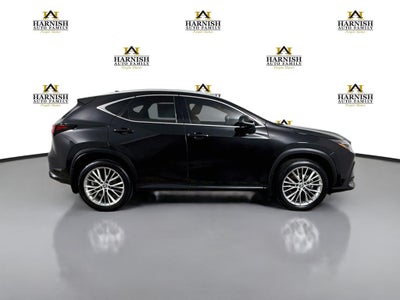 2024 Lexus NX 350h Luxury