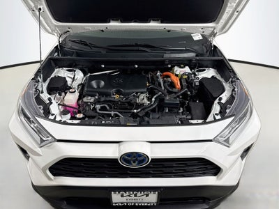 2021 Toyota RAV4 Hybrid XLE
