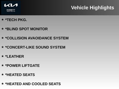 2024 Kia Telluride SX-Prestige X-Pro