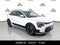 2026 Kia Niro EV Wind