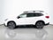 2026 Subaru Ascent Limited