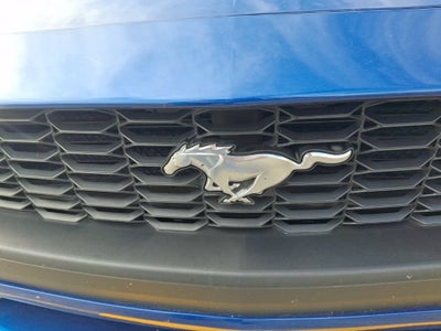 2024 Ford Mustang EcoBoost Fastback