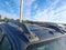 2021 Nissan Frontier Crew Cab PRO-4X 4x4